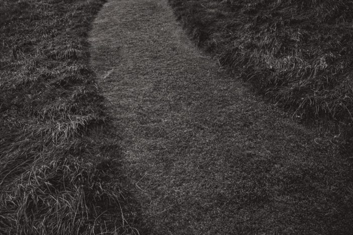 Chemin tondu dans les herbes hautes, photo minimaliste, noir et blanc