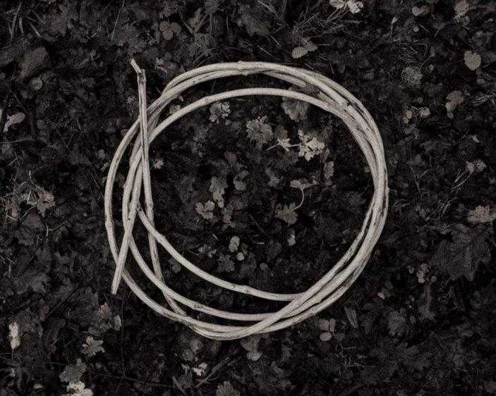 Noir et blanc, morceau de liane enroulée et abandonnée sur un sol tapis de feuilles mortes