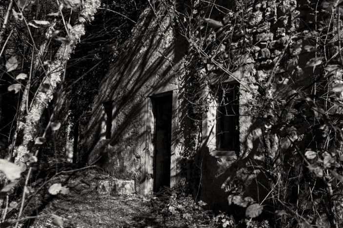 maison abandonnée dans la forêt, photo noir et blanc