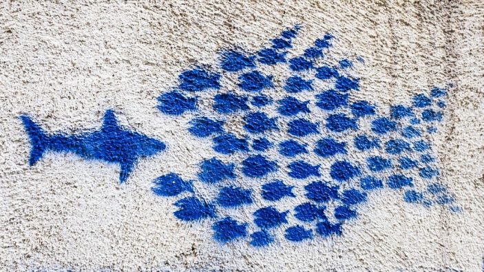 Pochoir mural représentant un requin bien parti pour se faire dévorer par un banc de petits poissons…